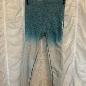 Gymshark Ombre Seamless Leggings